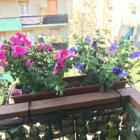 Apartment Accogliente Monolocale Hi-tech - Bisleri 18 *